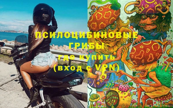 прущая мука Аркадак