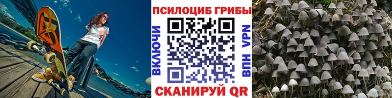 цена наркотик  Сольвычегодск  Псилоцибиновые грибы Psilocybine cubensis 